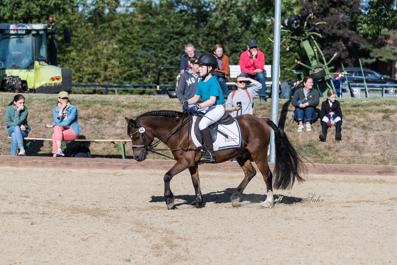 Bild 31 - Pony Akademie Turnier